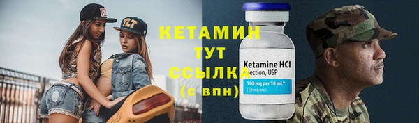 стаф Арсеньев