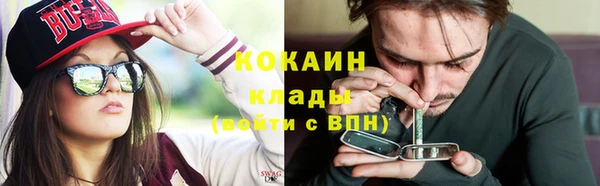 стаф Арсеньев