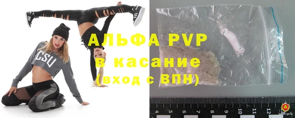 стаф Арсеньев