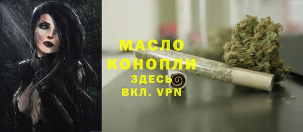 стаф Арсеньев