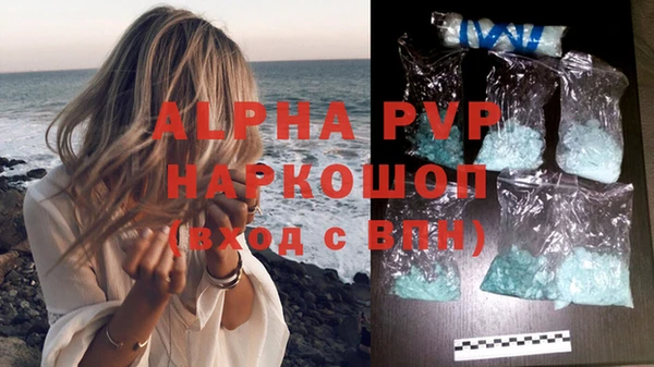стаф Арсеньев