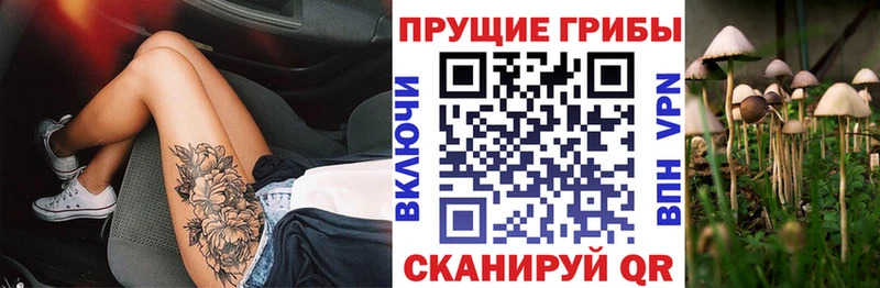 цены наркотик  Губкин  Галлюциногенные грибы Psilocybine cubensis 